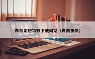 靖江白鹅素材特效下载网站（白鹅摄影）